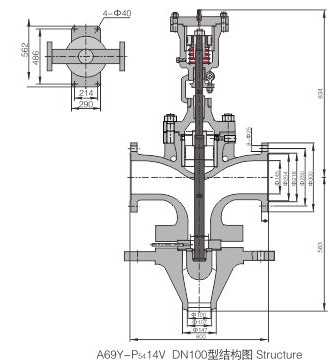 A69Y-P5414V DN100型高压主安全阀（W） (1).jpg